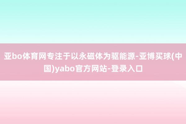 亚bo体育网专注于以永磁体为驱能源-亚博买球(中国)yabo官方网站-登录入口